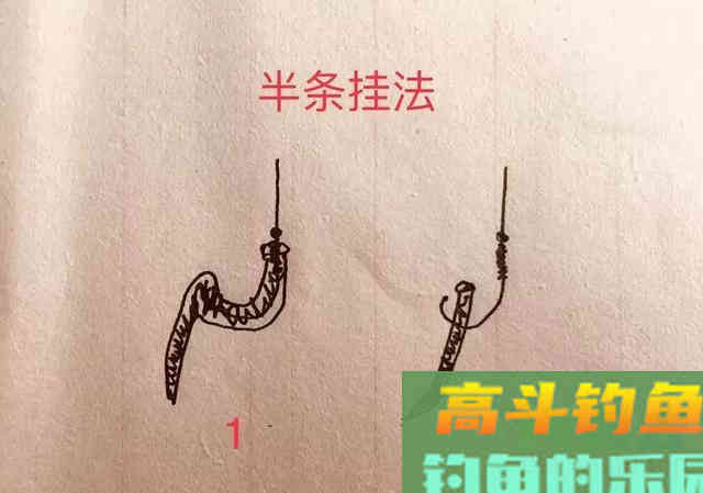 最常见的三种蚯蚓挂钩法，实践检验第三种上鱼效果就是好