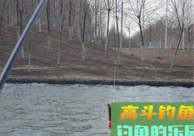 给钓友分享一款能压轴的窝料配方，用过的人都说好