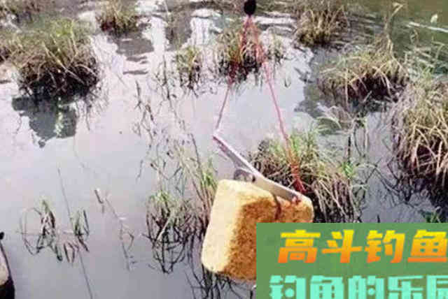 春钓打窝很多人第一步就做错了