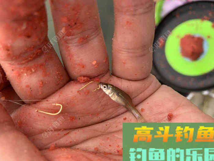 自制饵料良方，省您钱粮，照此施为，人安鱼康