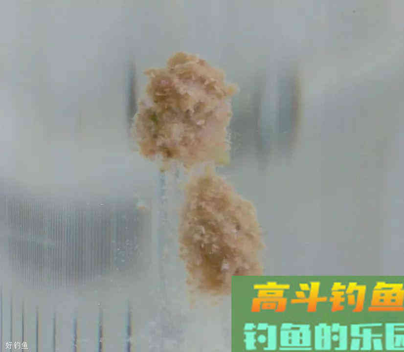夏季高温多雨，用这款老鬼饵料配方钓鲤鱼最方便