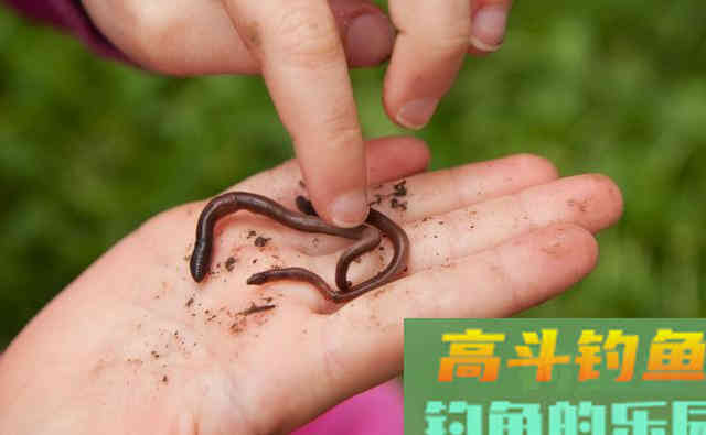 选对鱼道才是狂口的关键，否则别人疯上你没口