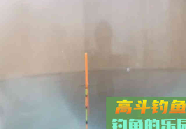 ​子线支撑力是否真的存在？别再争了，看完几组图片就能明白