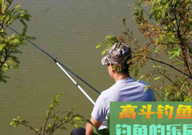 为了钓到鱼，钓友想尽各种办法！鱼：我们被包围了