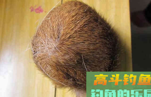 除了做药酒，还有麝香的这两种使用方法