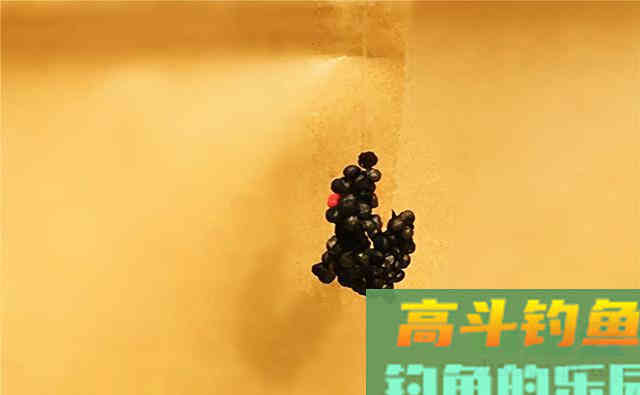 钓鱼米是鸡肋，对钓鱼帮助不大？答案并非如此