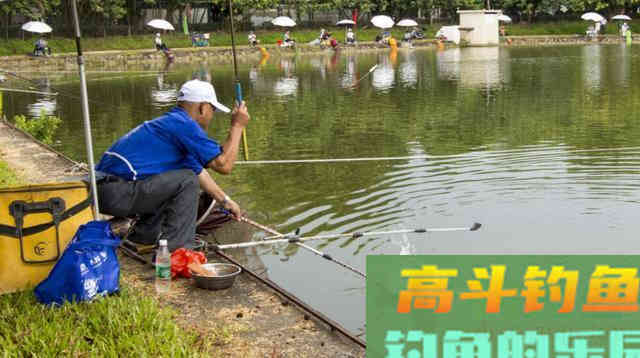 用轮胎、竹子在浮萍中做一个人工鱼窝