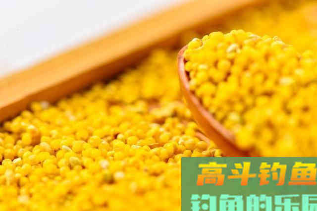 外出钓鱼被一老头教训了，不过也是心服口服