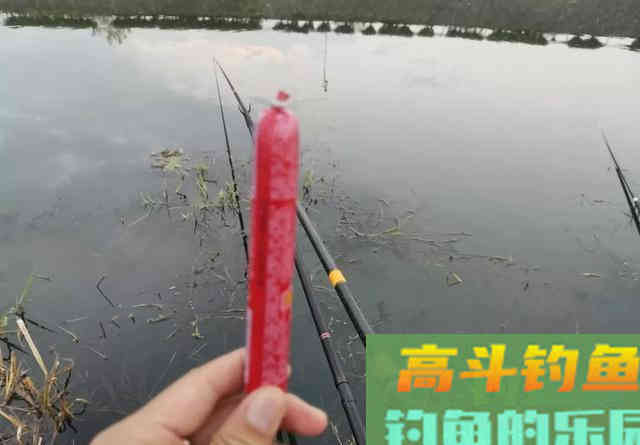 被过度神化的4种钓鱼饵料，我已经替你们试过