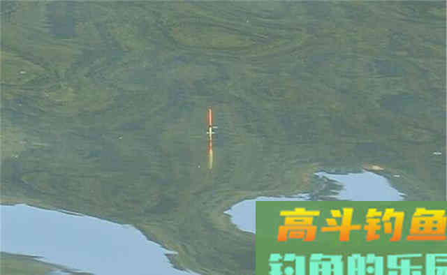 气温变低，鱼口变轻，漂相莫等“大顿口”，这些漂相小，全都有效
