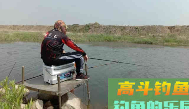 鱼突然停口了，别瞎想，就是不想吃了
