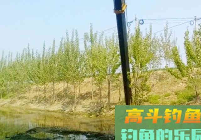 为了钓到鱼，钓友想尽各种办法！鱼：我们被包围了