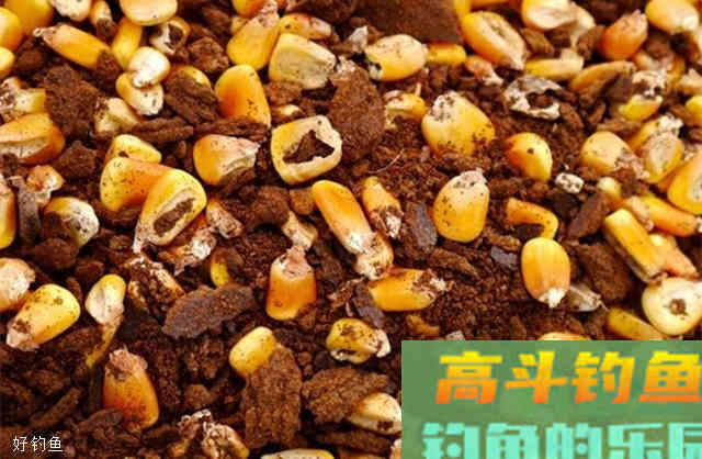 老钓鱼人给新手分享的饵料选购指南