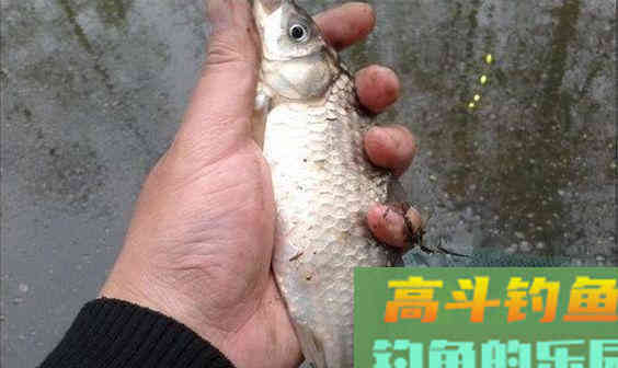 打隔夜窝需要有讲究