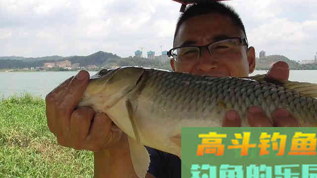 夏天野钓强效自制窝料配方分享