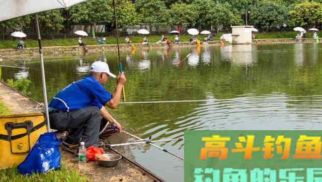 钓鱼有规律，别再用钓无定律、随机应变忽悠人