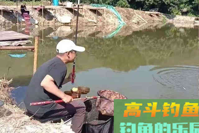每次提竿都没鱼？殊不知这简短3招