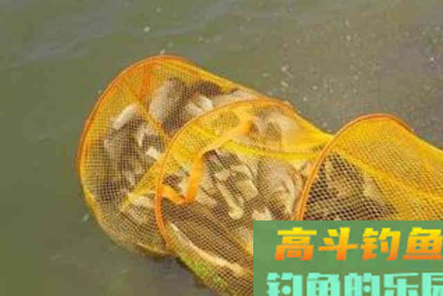 到了冬天，饵料按我说的用，中鱼率提升好几倍