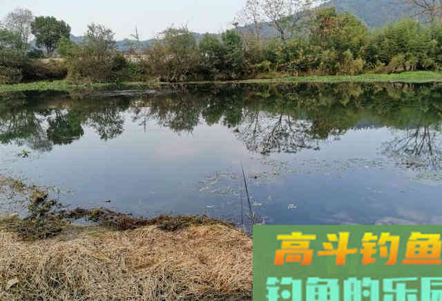 钓鱼不是喂鱼！春季钓大鱼打重窝会坏事