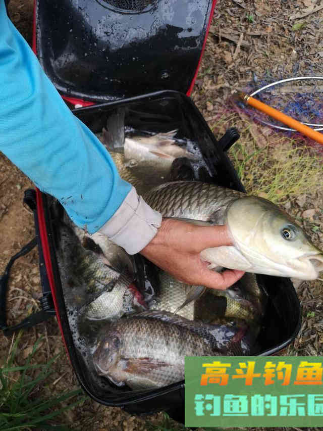 钓鱼不要跟风，大多没啥用，资源是学不来的
