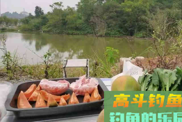 加了小药的饵就是好饵？别再盲目相信了