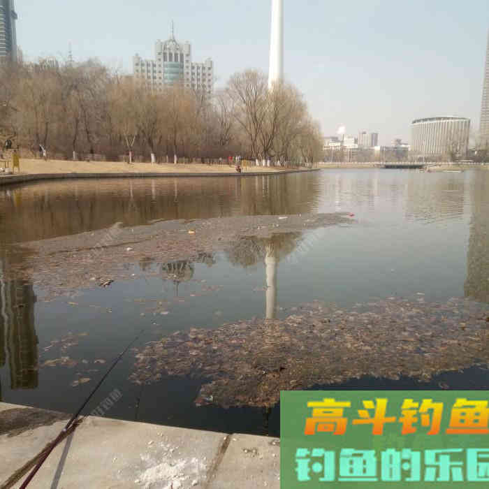 那熊学钓第72篇：灵活用饵