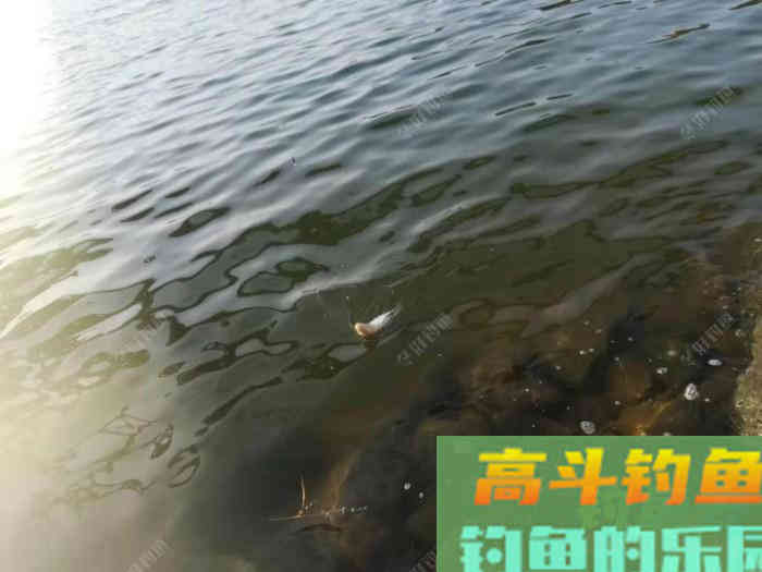 野钓走水该如何打窝，走水河打窝技巧分享