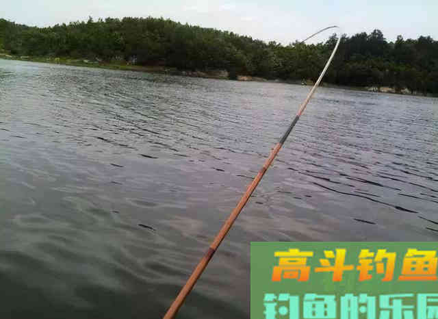 新手钓鱼想要好鱼获，得先了解这四个入门常识
