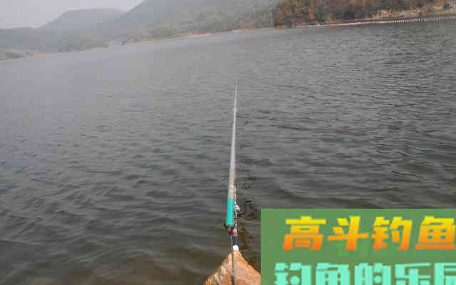 水情、鱼情不适合钓鱼该怎么办
