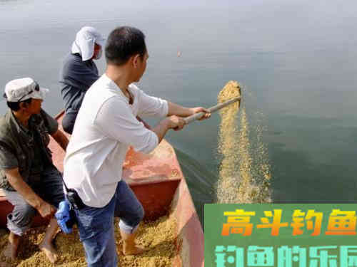 浅谈野钓慢窝：诱鱼虽慢但是个头很大，配套玩法分享
