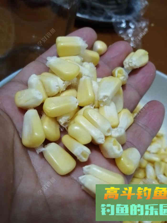 自制天然素饵（全集）钓鱼效果不错