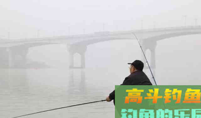 钓鱼时鱼竿上出现这现象，就说明鱼口要停