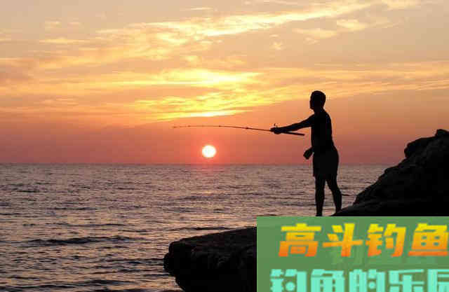 自己做窝，专钓大鲫鱼