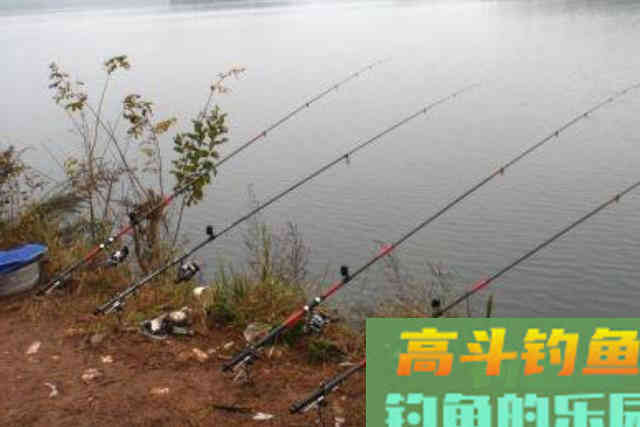 不用漂都能连竿上板鲫？这钓法果然够狠