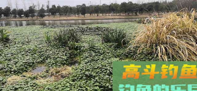 同样的位置，不同的人，收获却天壤之别，为什么