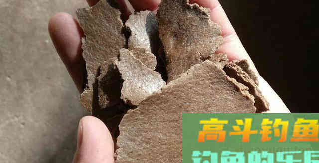 冬季窝饵被封为王者的是哪3种？在身边，老钓友不教