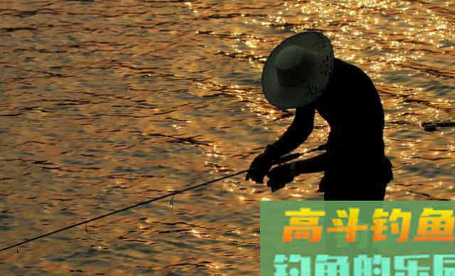 钓鱼没口，加点药酒真管用？我劝你千万别乱加