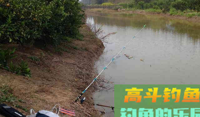 有鱼没口怎么办？别着急，找准原因才能解决问题