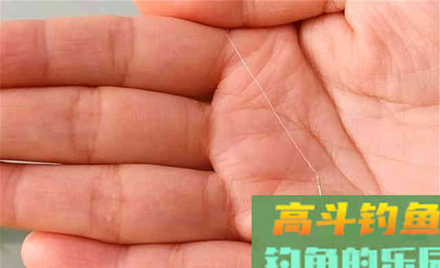 晚秋钓大鲫，什么饵料都不如米饭