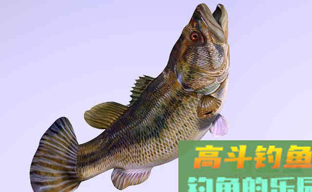 连中鱼率都不敌此类自制鱼饵