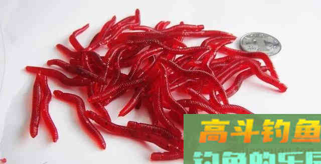 红虫钓的鱼，人可正常食用！不要再盲目听信红虫对人体有害