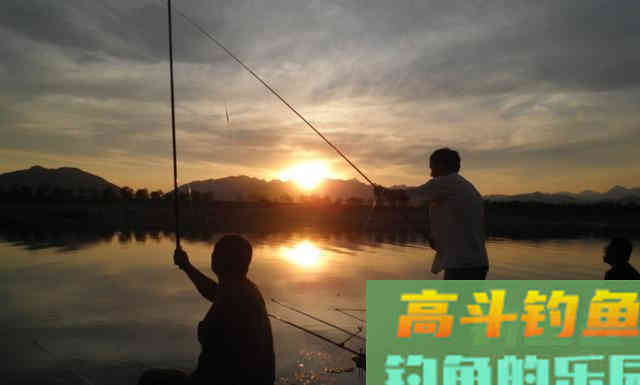 上钩中鱼、下钩中鱼哪个更好？现在才明白