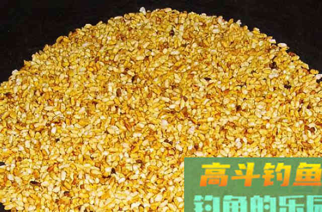 大米这么处理，用来打窝，效果比小米好