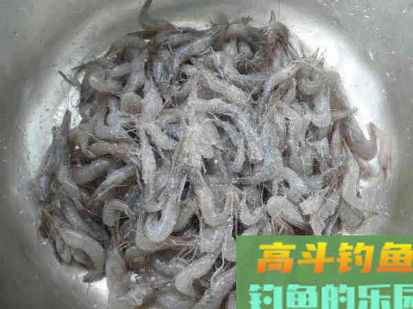 秋冬钓鲤鱼用什么饵料好？高手用了6年的钓鲤配方