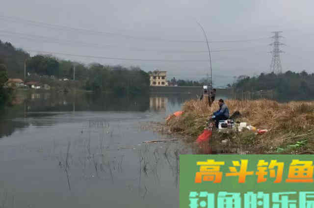鱼口轻就没法钓了？3个破解招式，千万莫忽视