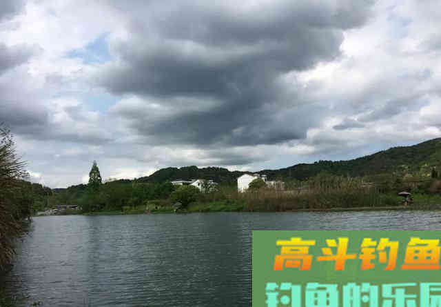 初春钓鱼，掌握好出钓时机比打重窝更管用