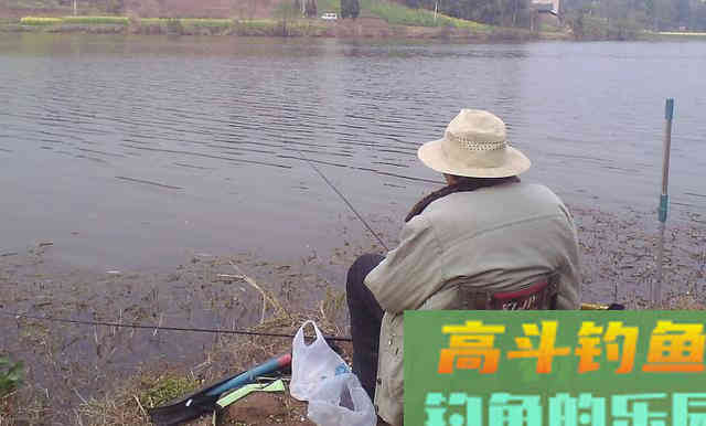 为什么浮漂有信号，提竿却没有鱼