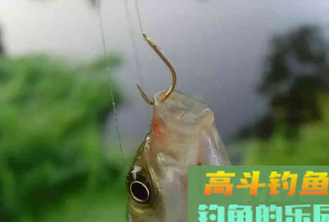 双钩的距离放多少才合适，还是要看这三个原则