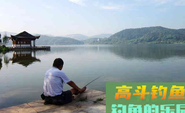 浮漂上顶，提竿却没有鱼，问题出在这里