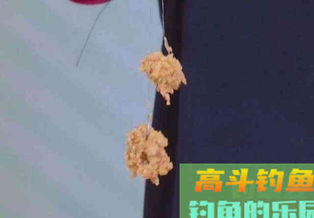 钓鲫鱼窝内出现大片鱼泡，为何没鱼吃钩
